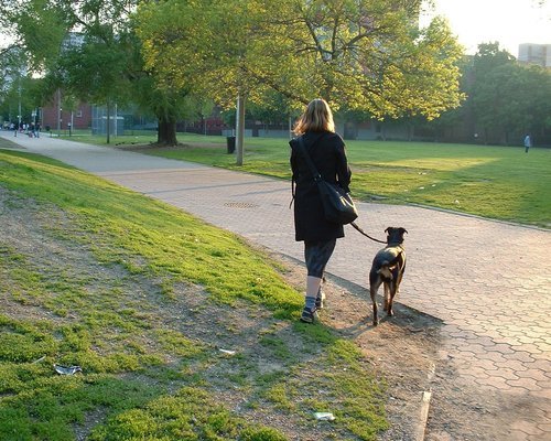 Klädd för aktiviteter med hunden